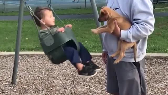 babies vs dogs epic battle