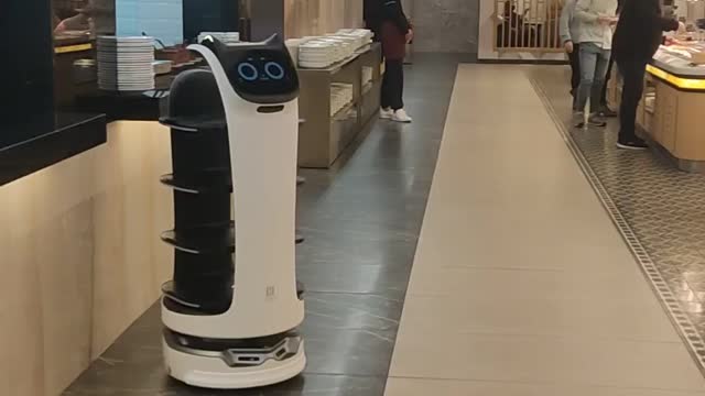 Robot waiter