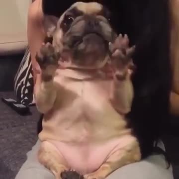 good morning cutie he makes your day