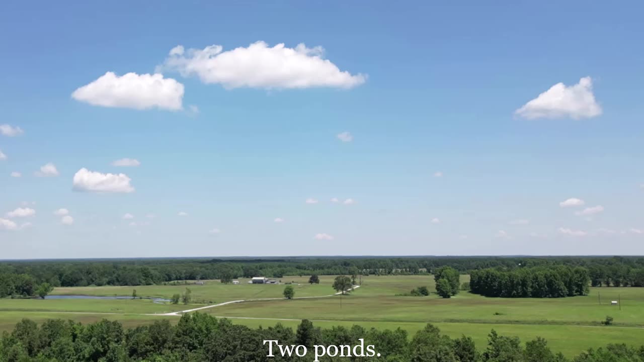 40 +/- Acres Undeveloped Land For Sale, De Kalb, TX, Bowie County