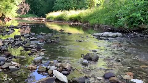Sadhguru's Off-road Adventure At Isha Institute of Inner-sciences | @Isha USA