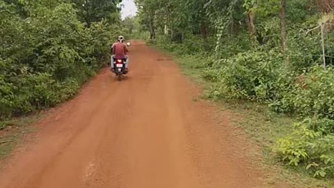 Jungle Road Riding in bike