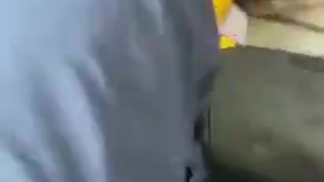 Weirdo gets hit for repeatedly touching a passenger on the bus
