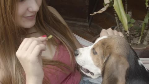 beautiful girl playing with her dog at home..
