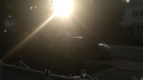 Amazing sunset
