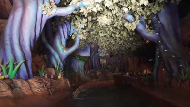 Splash Mountain Ride at Disney World