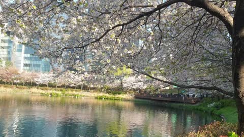 Seokchon Lake