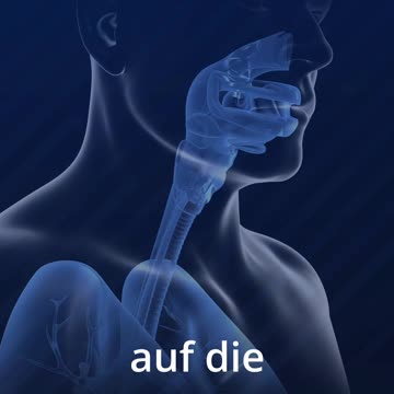 chemtrail - Nervschädigung und Wirkweise