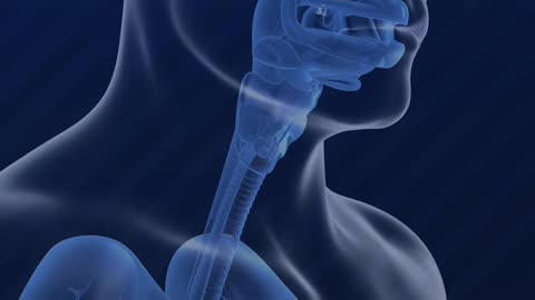 chemtrail - Nervschädigung und Wirkweise