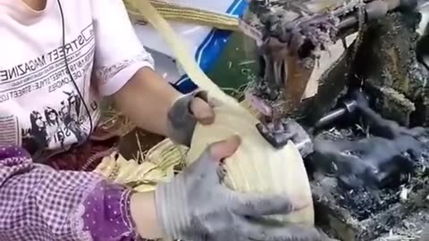 Science, Technology & Engineering