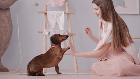 Beayti girl and her puppy lovely 👄 🦜