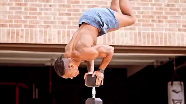 Best bodybuilding