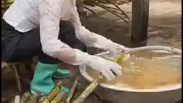 Making of gur ( alternative of sugar) with sugar cane in safe way