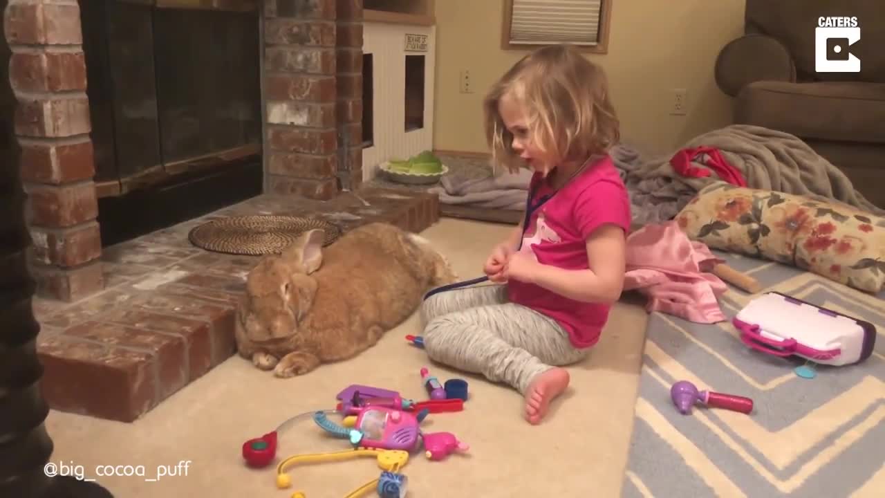 3-Year-Old Girl and Giant Rabbit Get Into Trouble Together