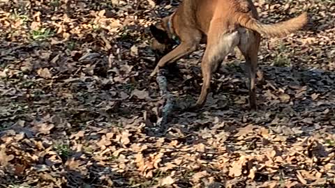 Big stick spin