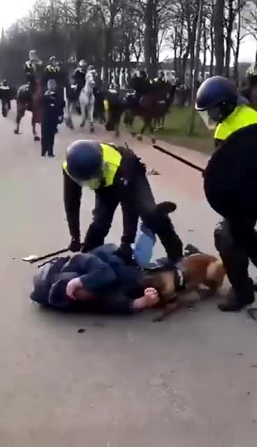 Polizei Holland Hund