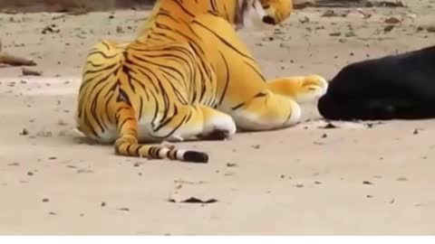 Tiger toy prank with other animals