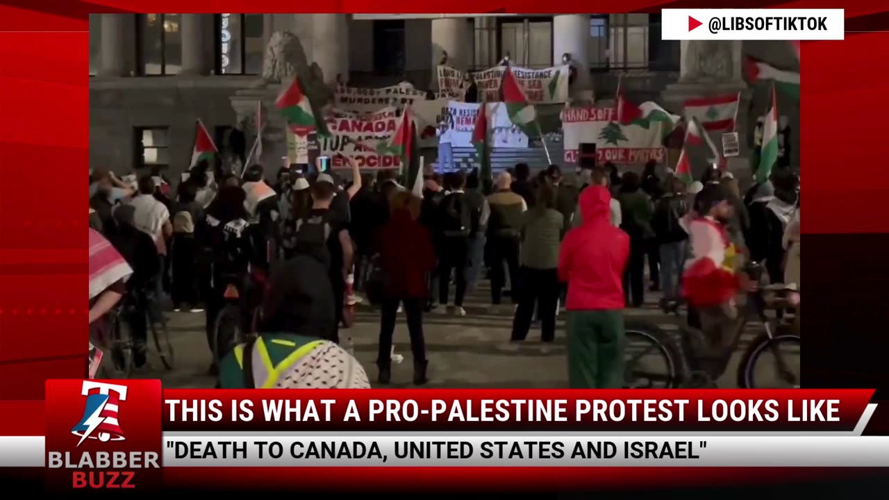 This Is What A Pro-Palestine Protest Looks Like