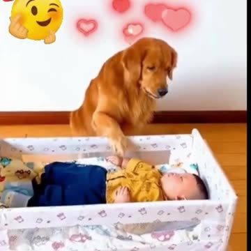 The Surprising Benefits of Dogs Helping with Childcare