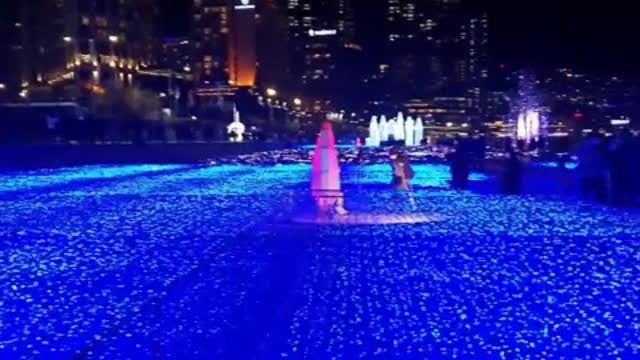 Asia Haeundae LED sea ice flower in the middle of the dolphin appearance 3~~~