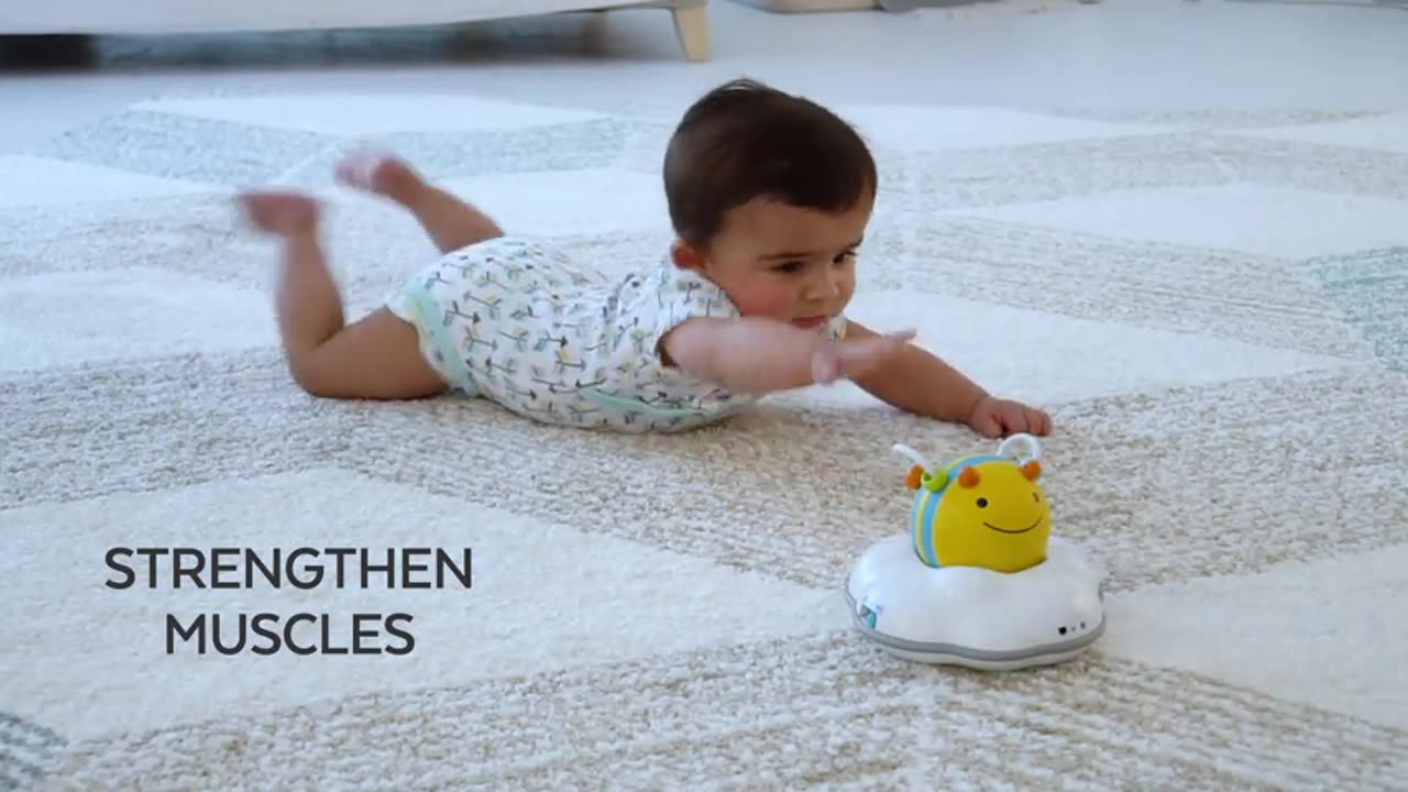 Skip Hop Baby Crawl Toy