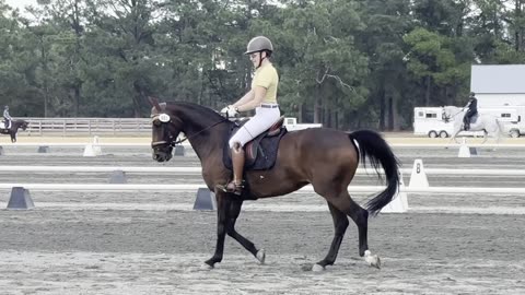 Alexis on Minion (Second Test 2) : 29-Sep-2024