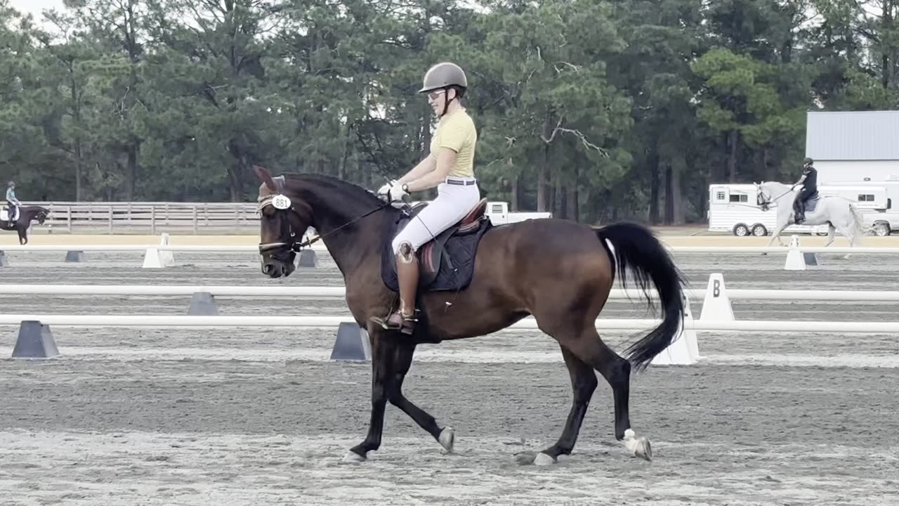 Alexis on Minion (Second Test 2) : 29-Sep-2024