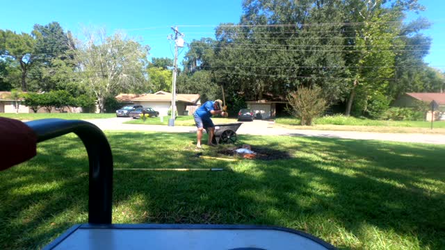 Stump Work