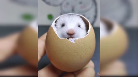 Cute baby animals Videos Compilation cute moment of the animals - Cutest Animals On Earth