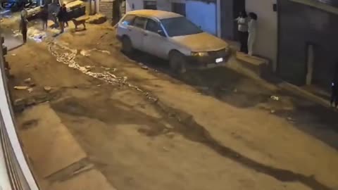 New footage shows the moments when a 7.2 magnitude earthquake hit the