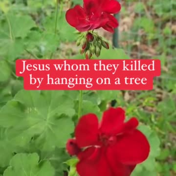 What did Peter tell Cornelius and the others about Jesus #salvation #Jesus #bible no partiality