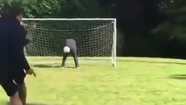 Zlatan Ibrahimovic (Funny Moments)
