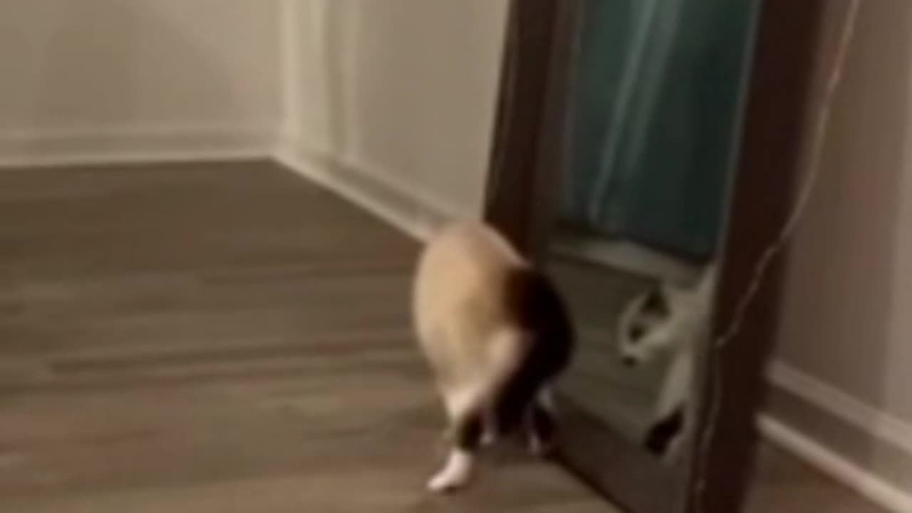 Who is that in the mirror?