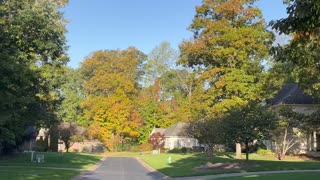 October 10, 2024 - Fall Beauty on a Morning Walk