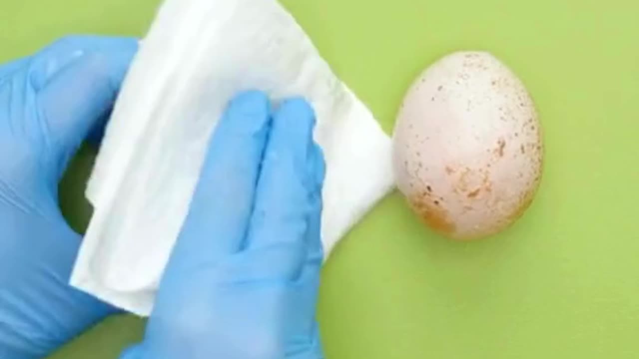 How Toothpaste Protects an Egg from Water While the Uncoated Egg Breaks Down! 🥚🦷