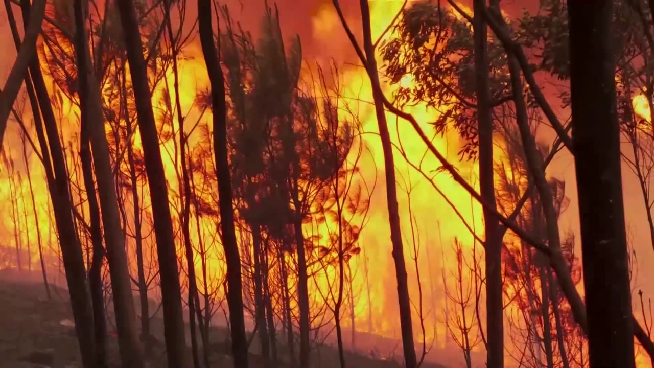 Portugal firefighters stretched to limit in battle with wildfires