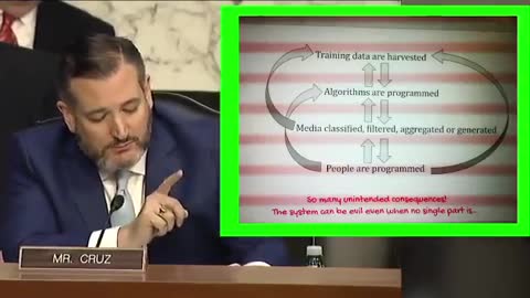 GOOGLE PEOPLE PROGRAMERS