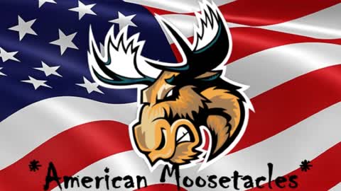 Welcome to *American Moosetacles*