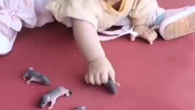 Cute baby eating a little 🐁 funny video