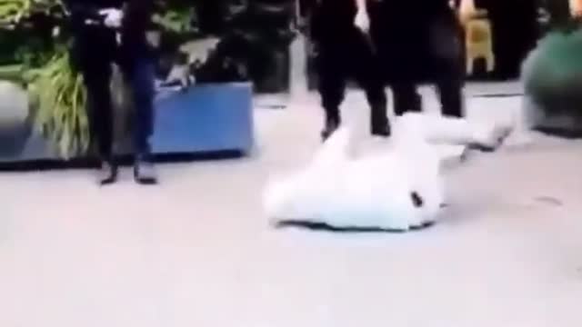 Elderly lady gets hit with a baton by Cops In Netherlands