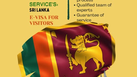 Streamlined E-Visa Solutions by Divine Associates Ltd