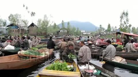 Dal lake market