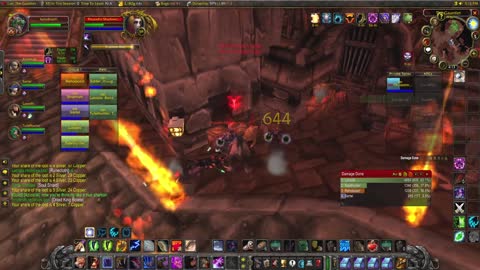 World of Warcraft Classic Druid Tanking at Strat Undead with Paladin (wife) healing