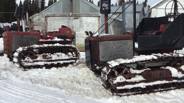 Dragging 3 cats out of the deep snow March 24 2022