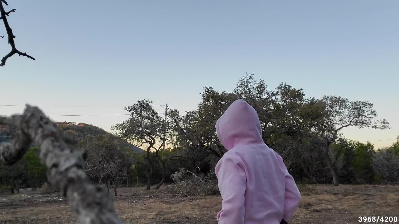 releases Great Horned Owl