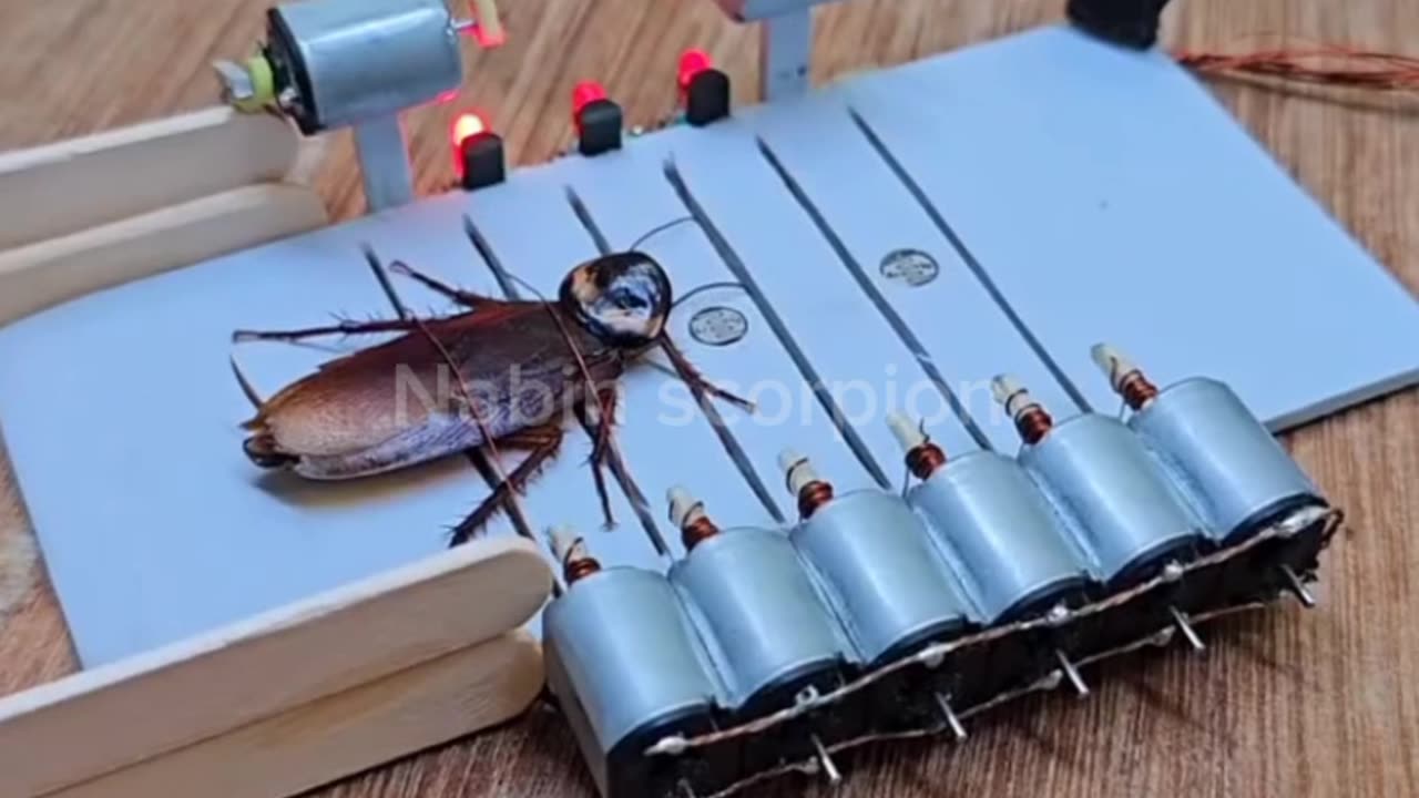 COCKROACH TRAP 👍👍👍👍👍👍