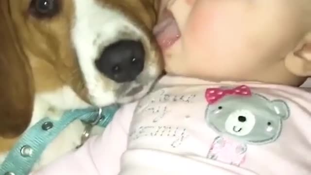 Baby and Dog cant stop Licking each other 😂😂