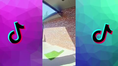 Funny Summer TikToks