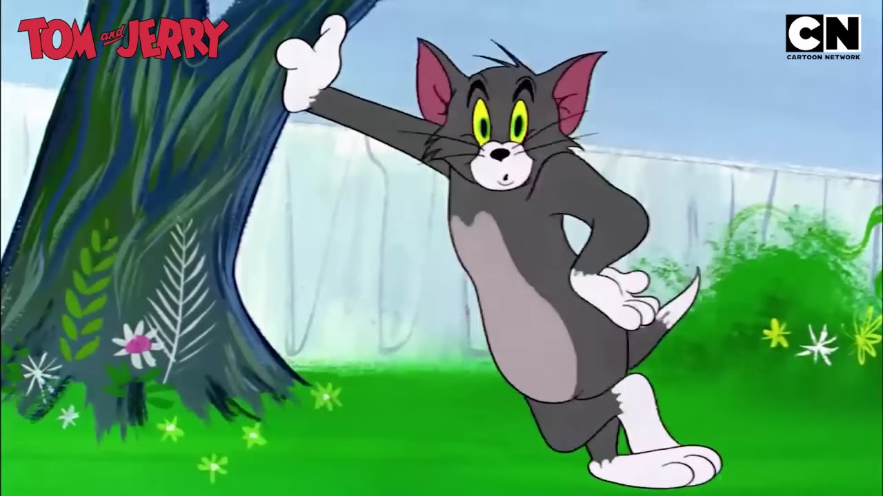 Tom and Jerry fun videos