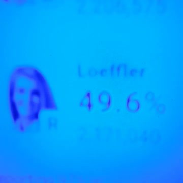 INTERNATIONAL WIDE ELECTION FRAUD VOTING MACHINE CRIME, GEORGIA RUNOFF SHAM ELECTION CRIME 277